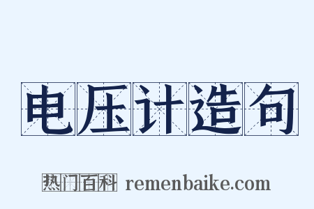 电压计造句是什么意思的图片